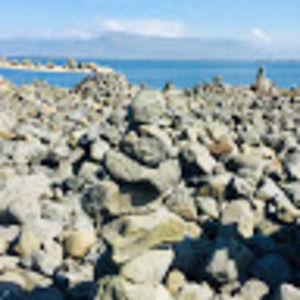 Meet your Posher, Reagan